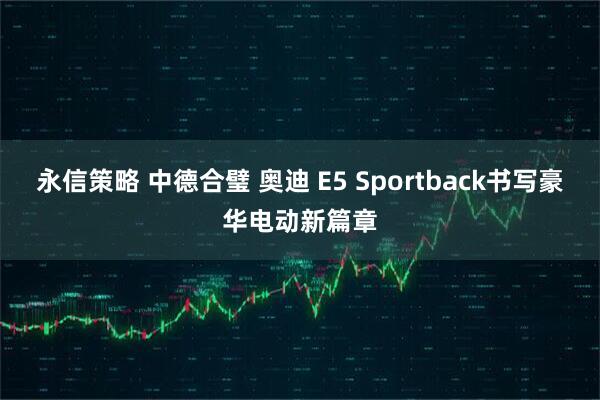 永信策略 中德合璧 奥迪 E5 Sportback书写豪华电动新篇章