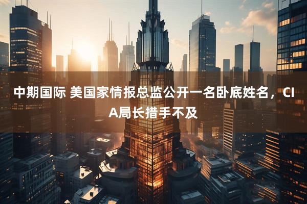 中期国际 美国家情报总监公开一名卧底姓名，CIA局长措手不及