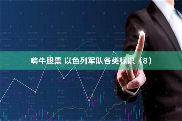 嗨牛股票 以色列军队各类标识（8）